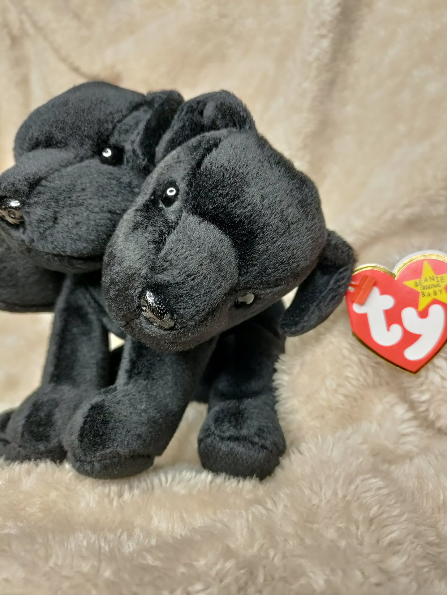 Mini Cerberus