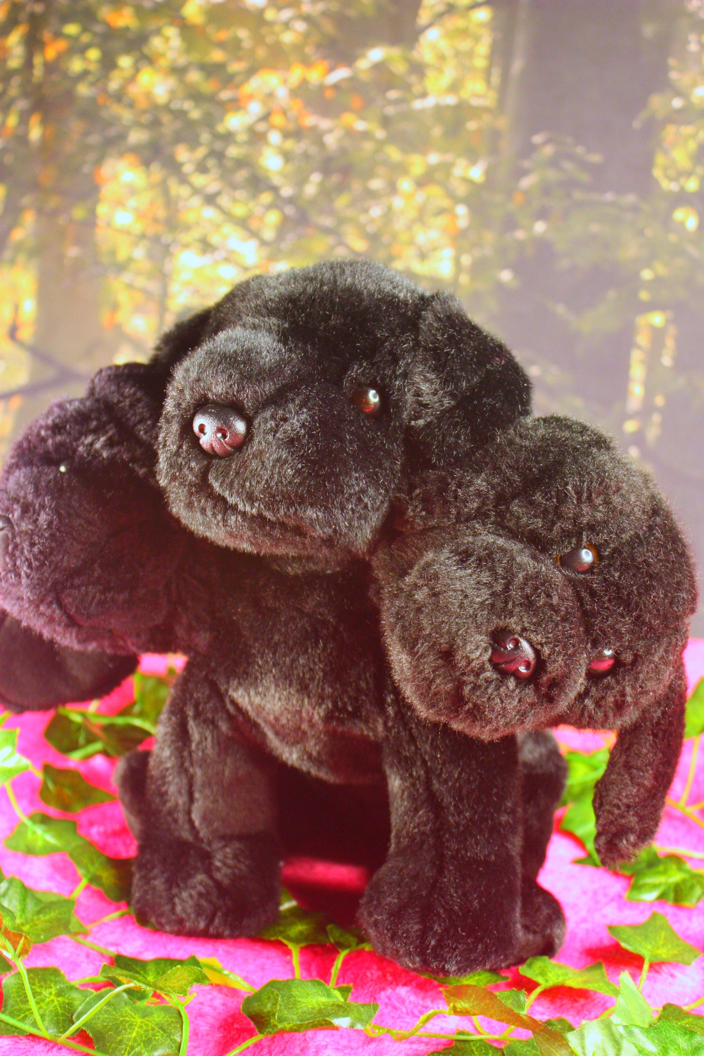 Cerberus!