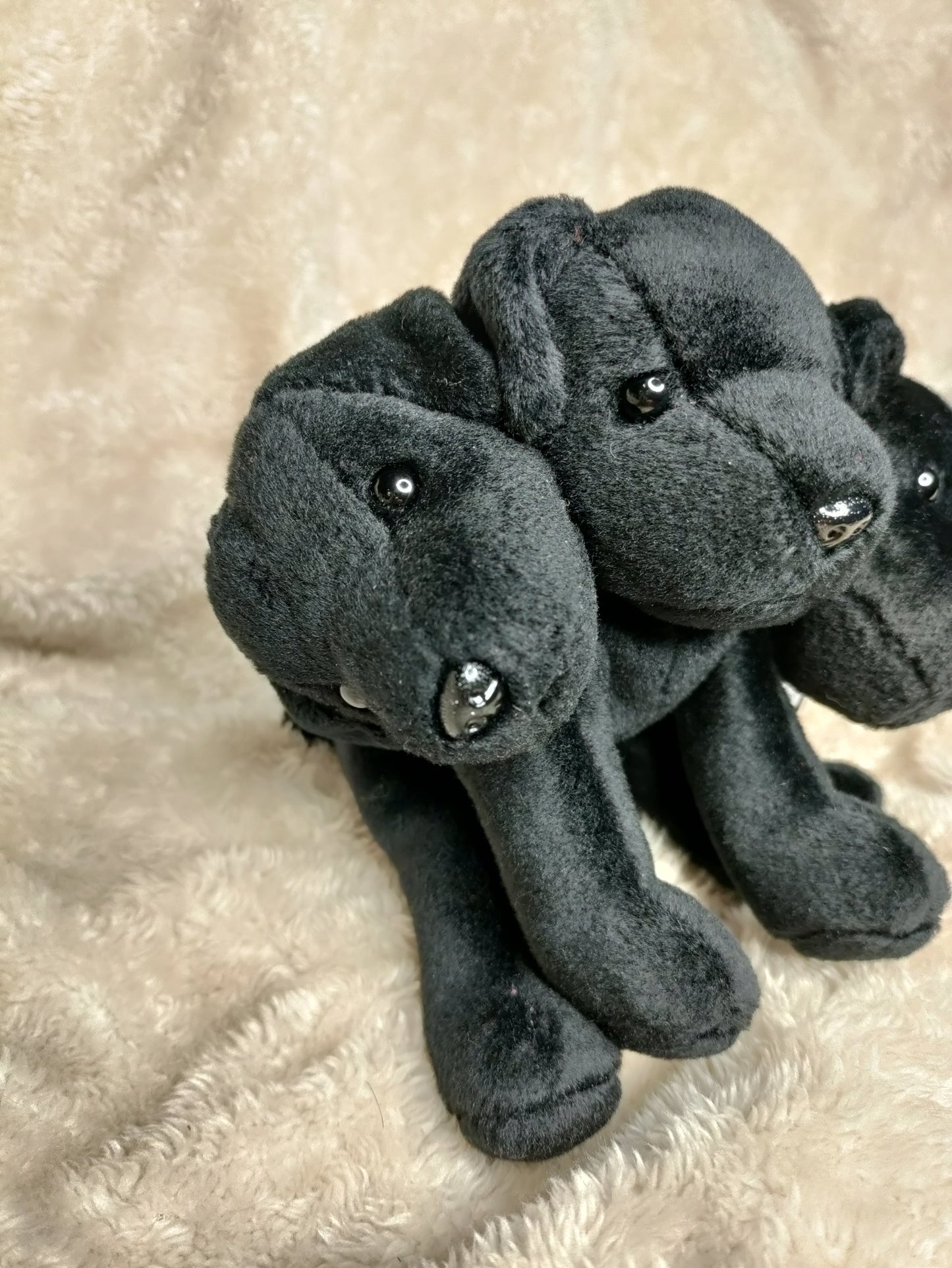 Mini Cerberus