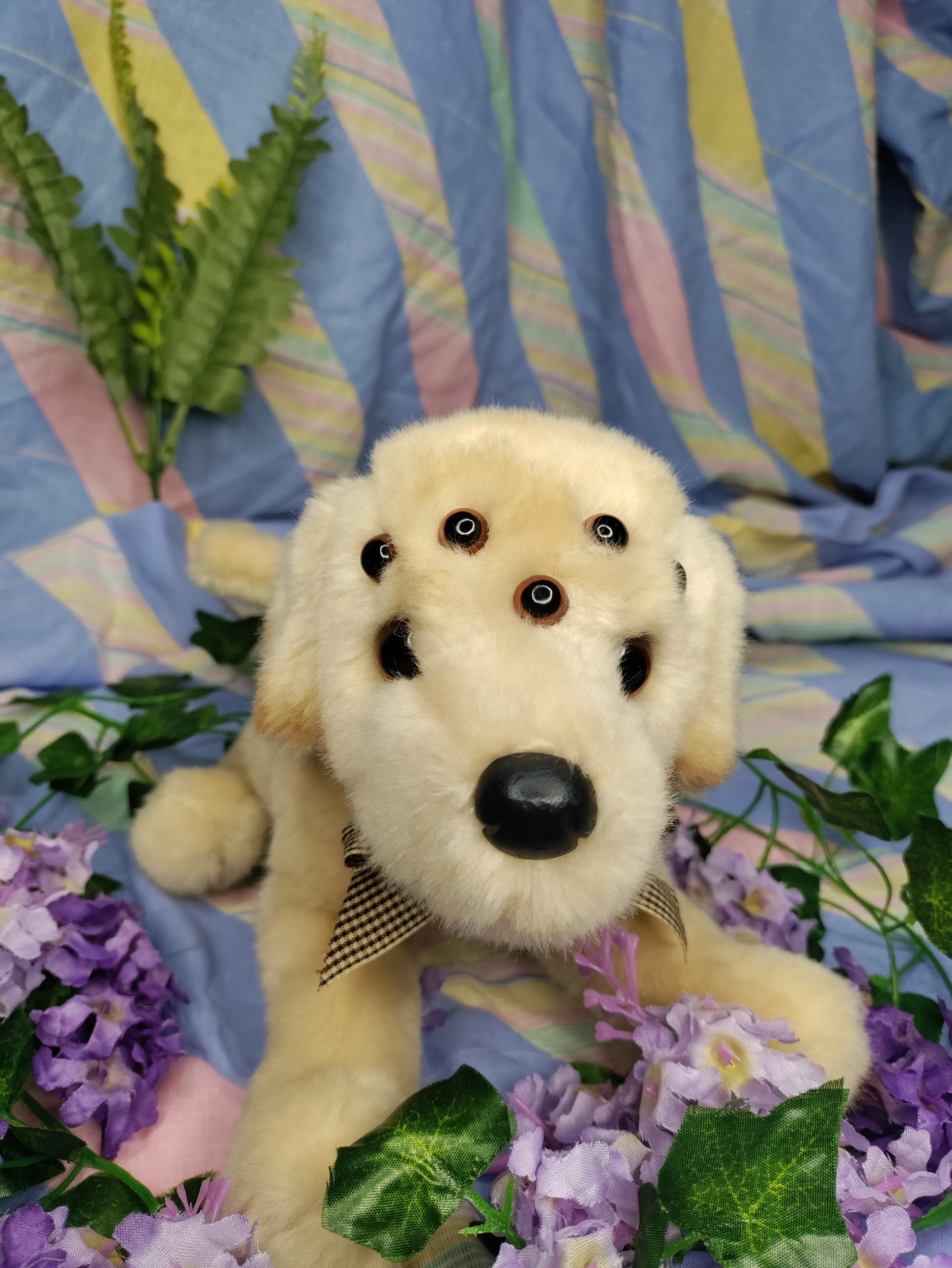 Cujo