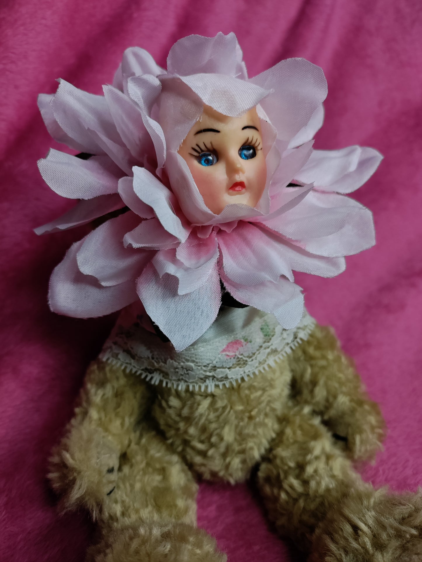 Gardenia