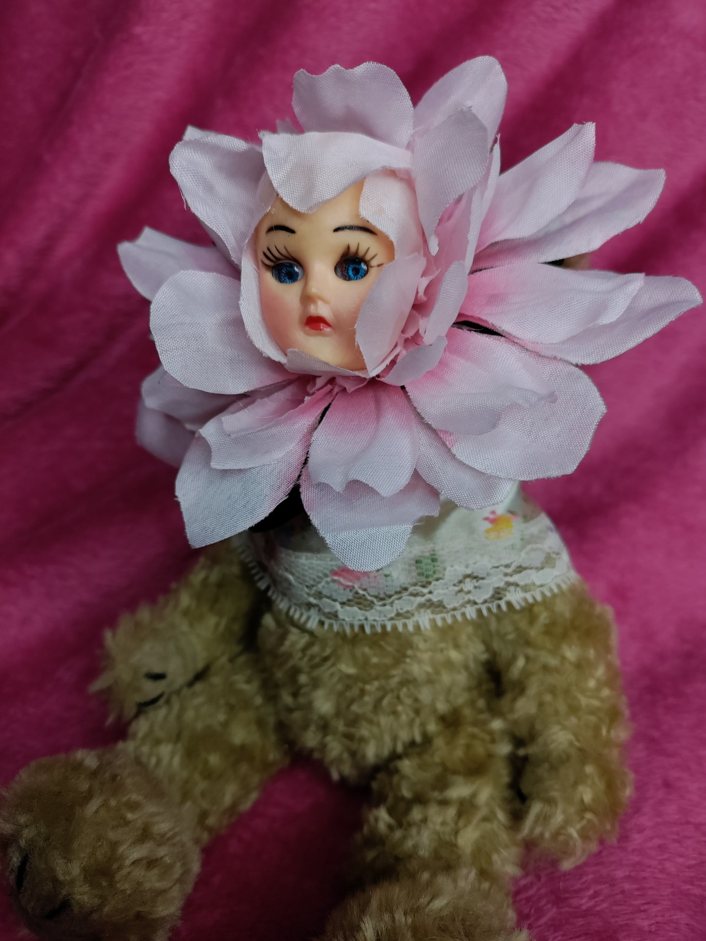Gardenia