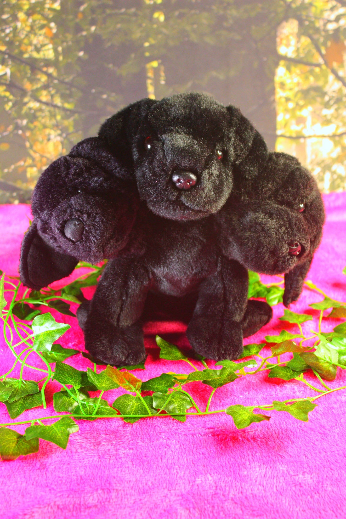 Cerberus!