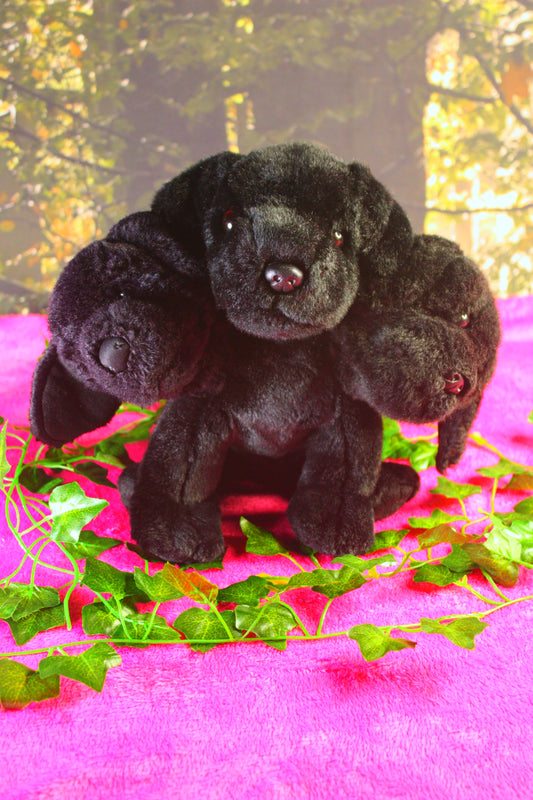 Cerberus!